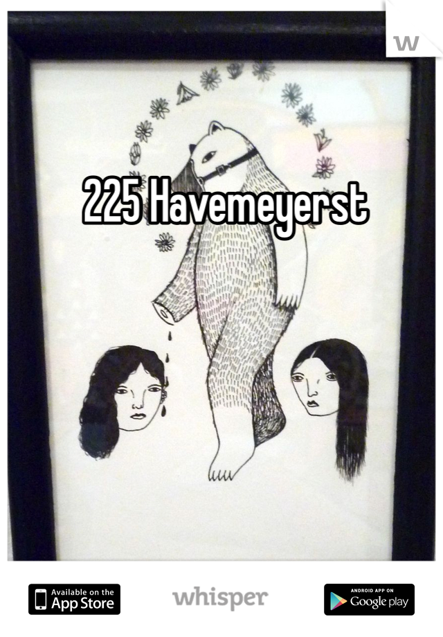  225 Havemeyerst 