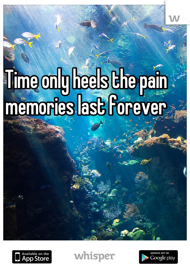 Time only heels the pain memories last forever