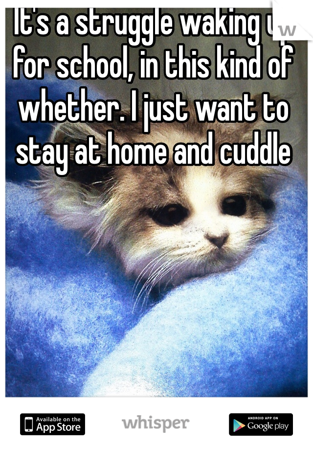 It's a struggle waking up for school, in this kind of whether. I just want to stay at home and cuddle 