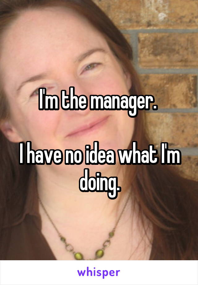 I'm the manager. 

I have no idea what I'm doing.