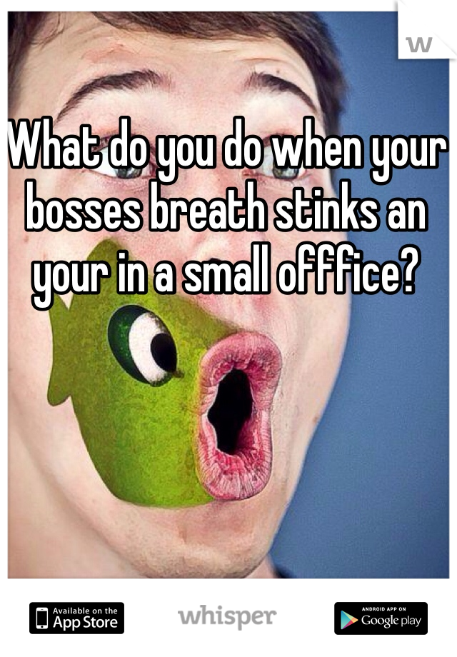 What do you do when your bosses breath stinks an your in a small offfice?