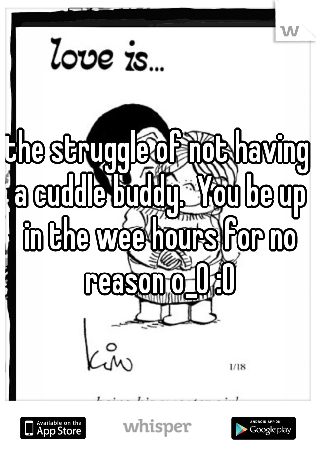 the struggle of not having a cuddle buddy.  You be up in the wee hours for no reason o_0 :O