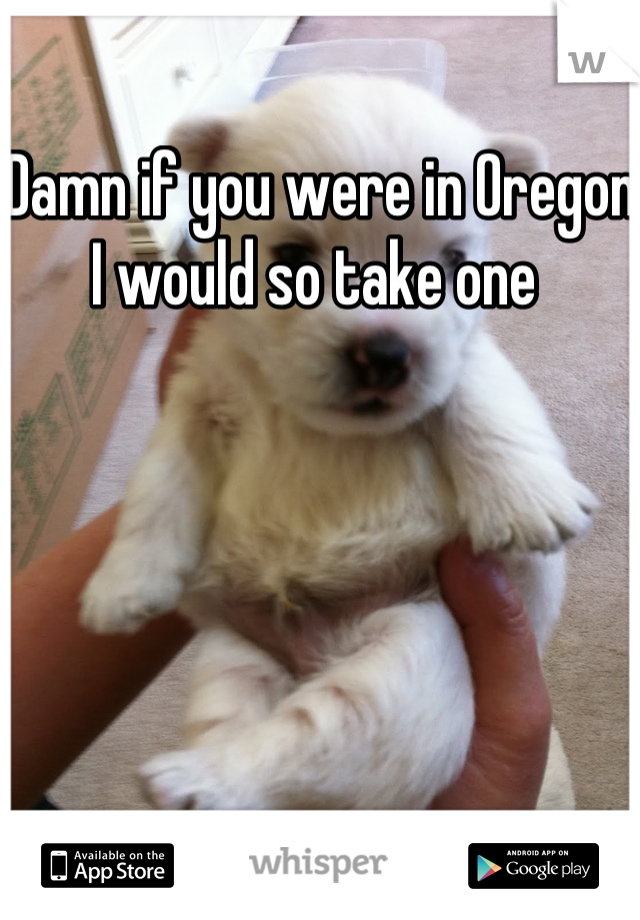 Damn if you were in Oregon I would so take one 