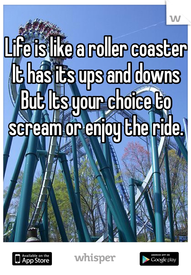 Life is like a roller coaster 
It has its ups and downs 
But Its your choice to scream or enjoy the ride. 