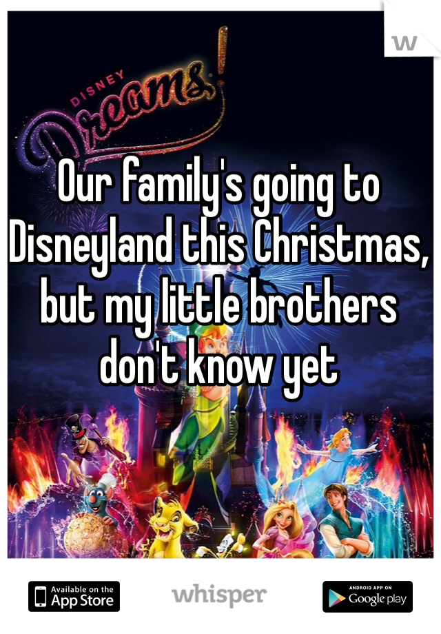 Our family's going to Disneyland this Christmas, but my little brothers don't know yet 