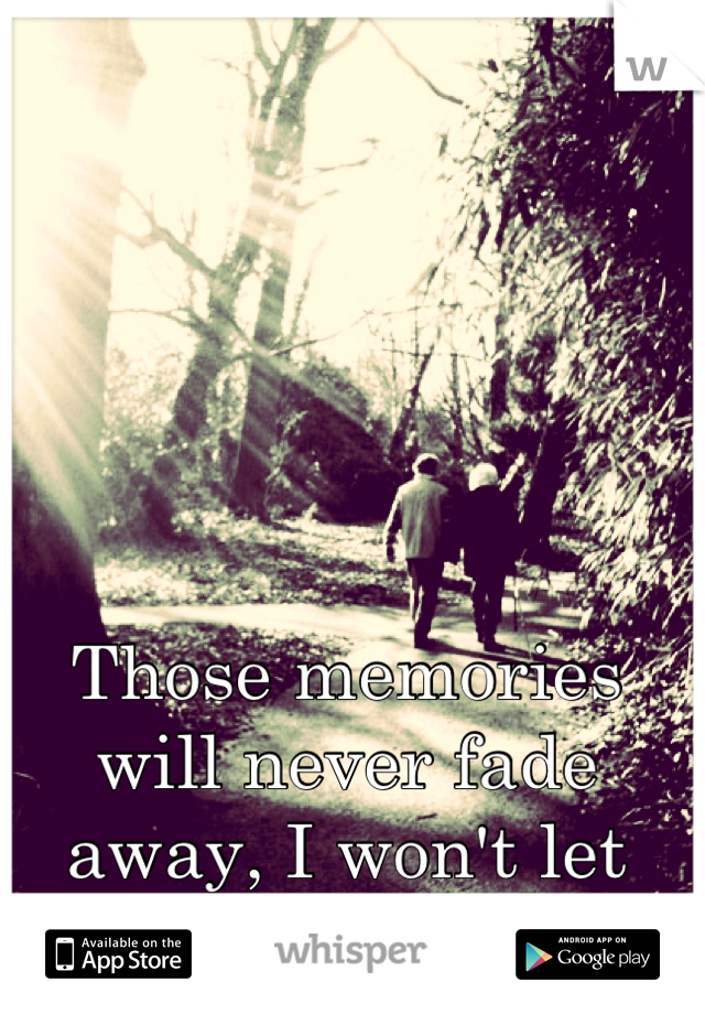 Those memories will never fade away, I won't let them.