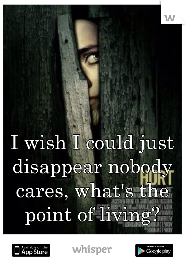 I wish I could just disappear nobody cares, what's the point of living?