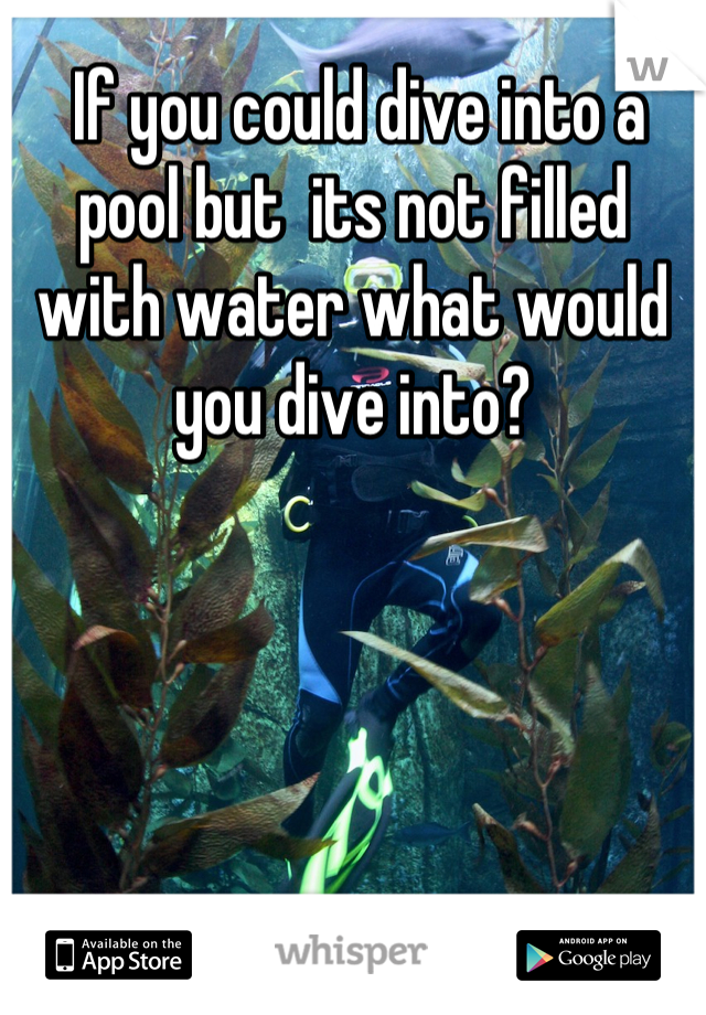  If you could dive into a pool but  its not filled with water what would you dive into?