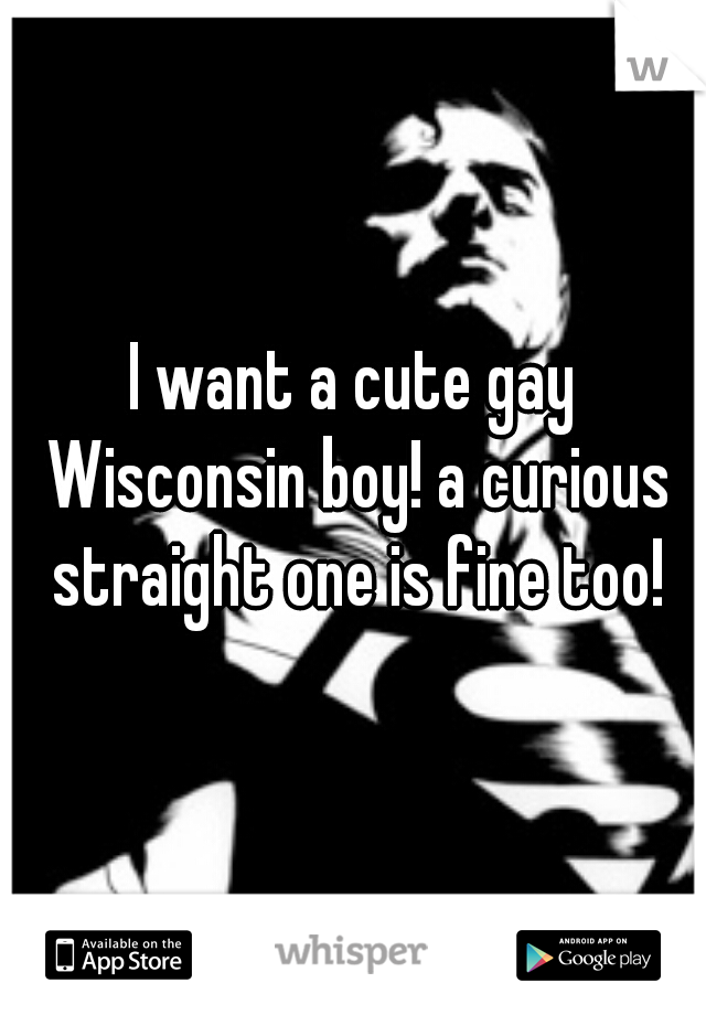 I want a cute gay Wisconsin boy! a curious straight one is fine too!