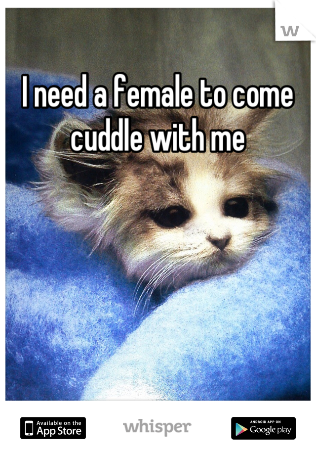 I need a female to come cuddle with me