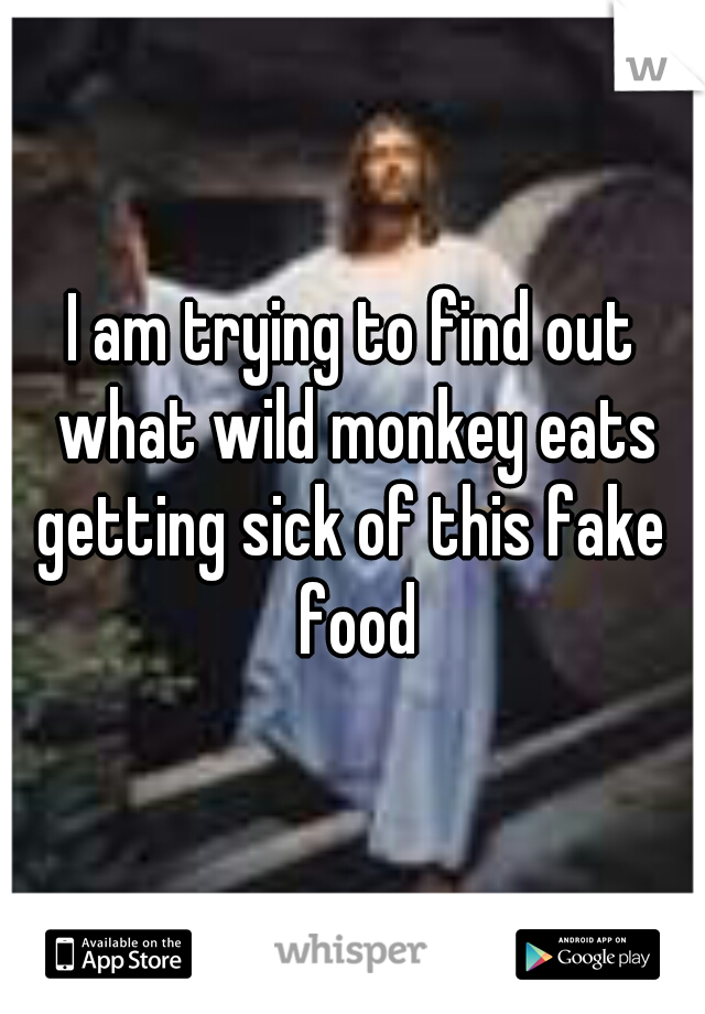 I am trying to find out what wild monkey eats
getting sick of this fake food