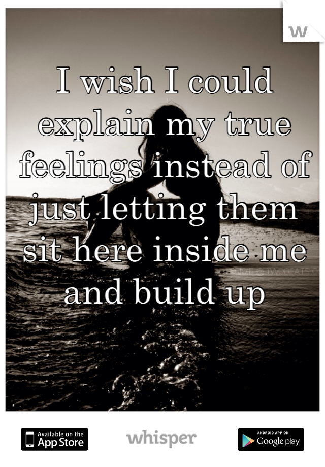 I wish I could explain my true feelings instead of just letting them sit here inside me and build up