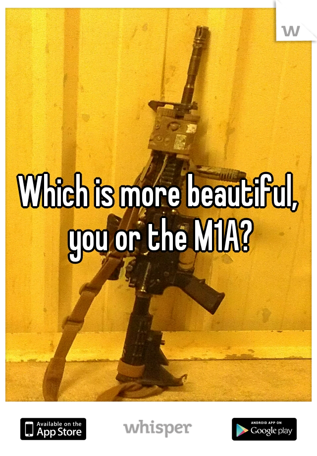 Which is more beautiful, you or the M1A?