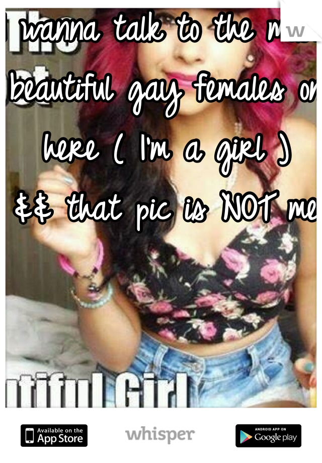 I wanna talk to the most beautiful gay females on here ( I'm a girl ) 
&& that pic is NOT me 