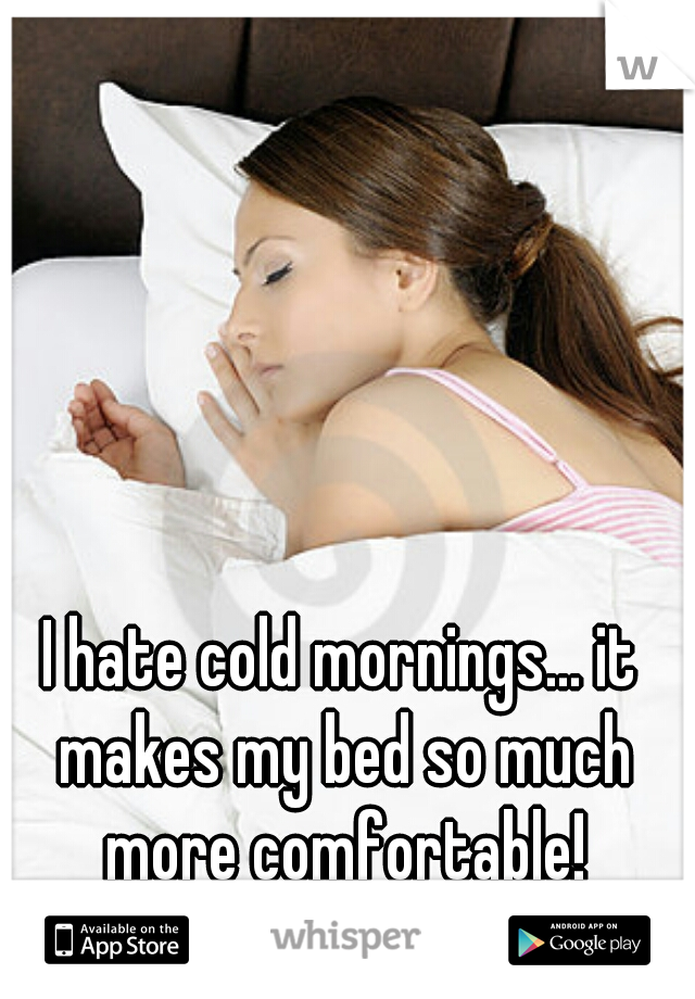 I hate cold mornings... it makes my bed so much more comfortable!