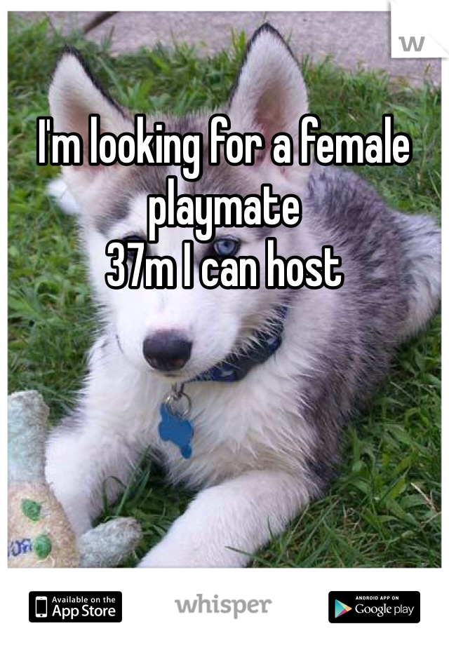 I'm looking for a female playmate 
37m I can host 