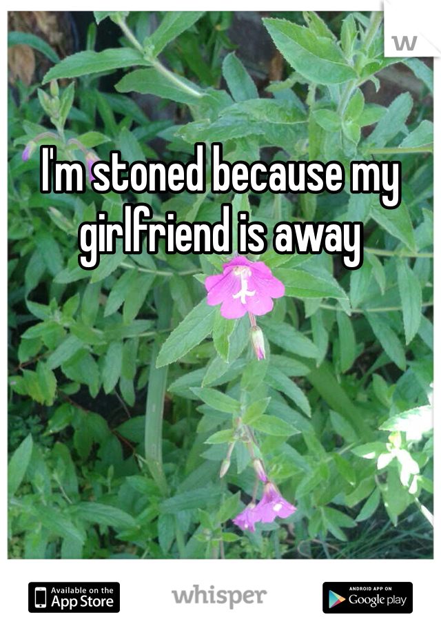 I'm stoned because my girlfriend is away