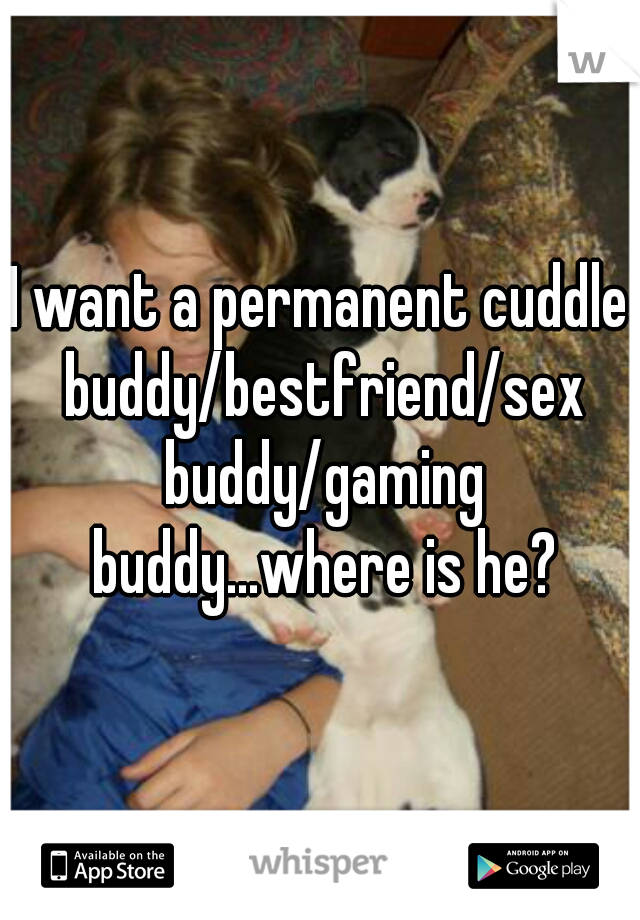 I want a permanent cuddle buddy/bestfriend/sex buddy/gaming buddy...where is he?