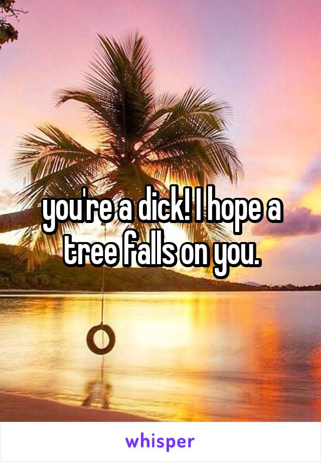 you're a dick! I hope a tree falls on you.