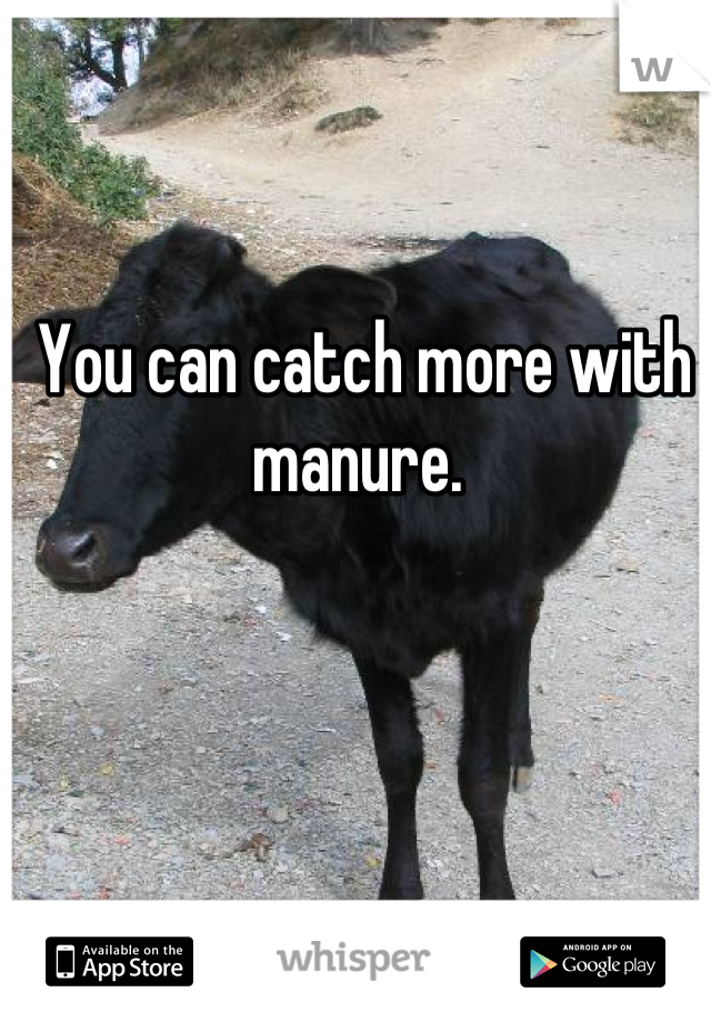 You can catch more with manure. 