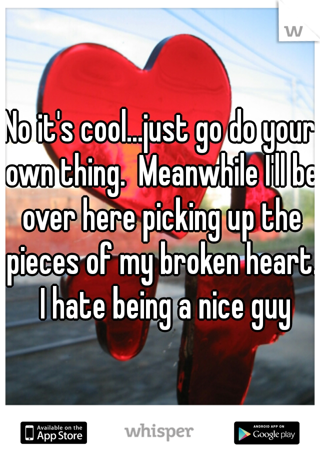 No it's cool...just go do your own thing.  Meanwhile I'll be over here picking up the pieces of my broken heart.  I hate being a nice guy