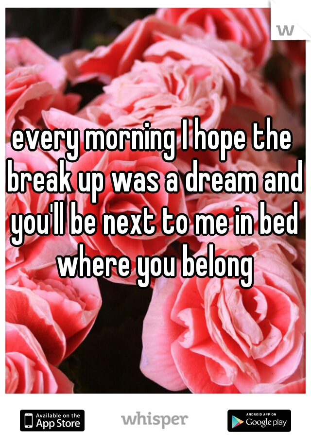 every morning I hope the break up was a dream and you'll be next to me in bed where you belong