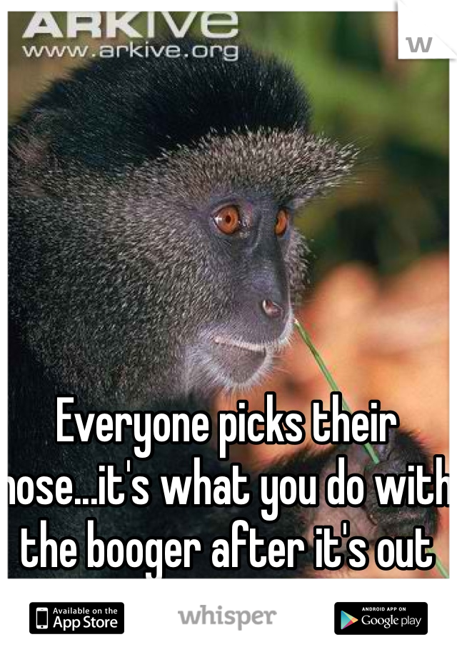 Everyone picks their nose...it's what you do with the booger after it's out what matters. 