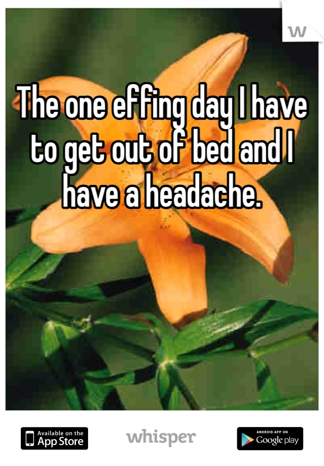 The one effing day I have to get out of bed and I have a headache. 