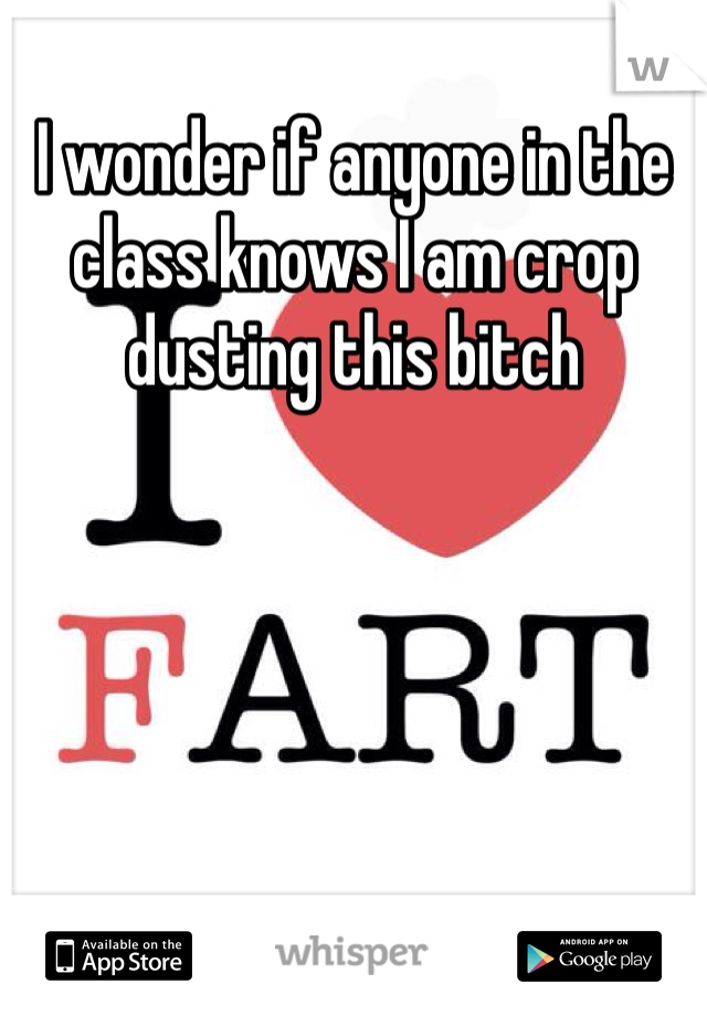 I wonder if anyone in the class knows I am crop dusting this bitch 