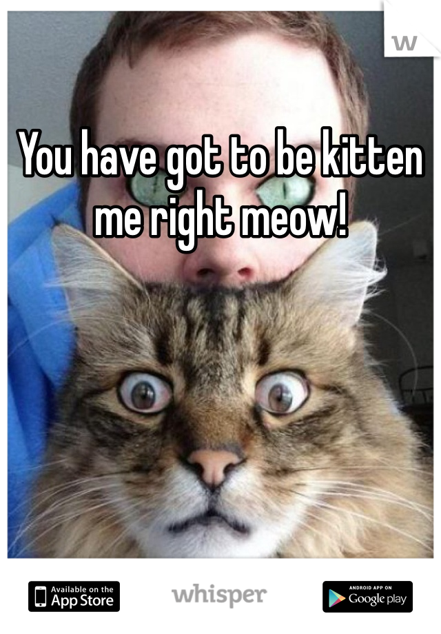 You have got to be kitten me right meow!