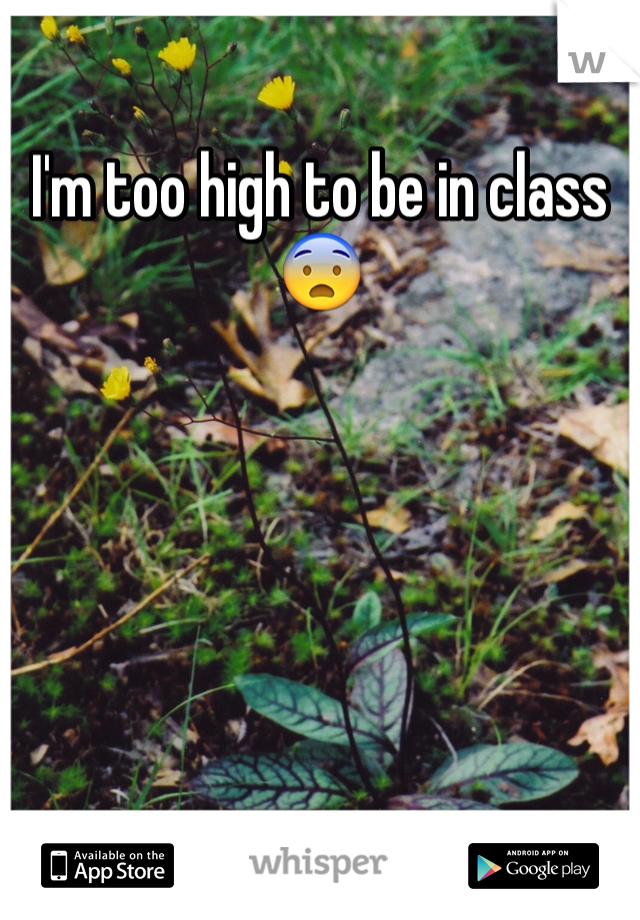 I'm too high to be in class 😨