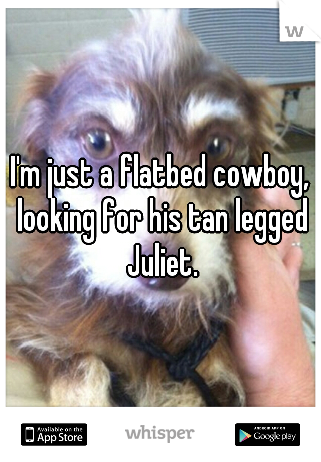 I'm just a flatbed cowboy, looking for his tan legged Juliet.