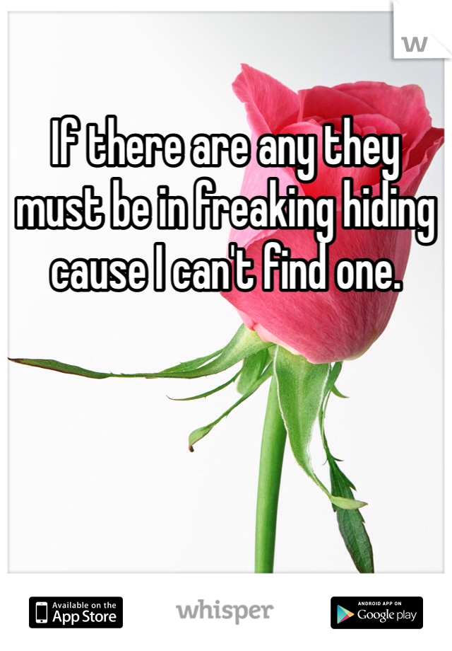 If there are any they must be in freaking hiding cause I can't find one.