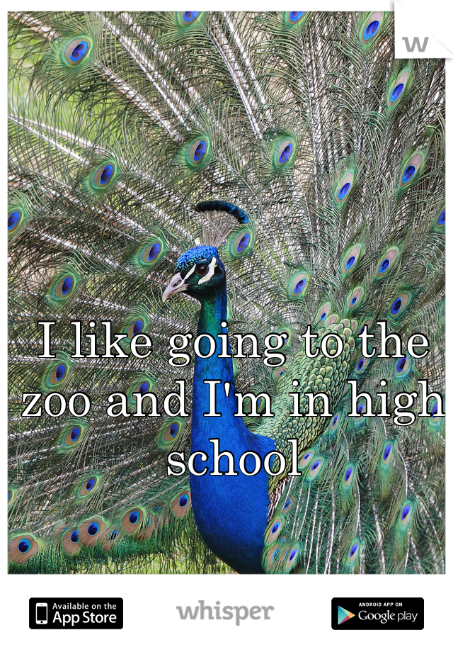 I like going to the zoo and I'm in high school