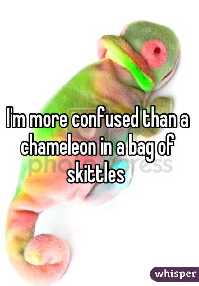 I'm more confused than a chameleon in a bag of skittles 