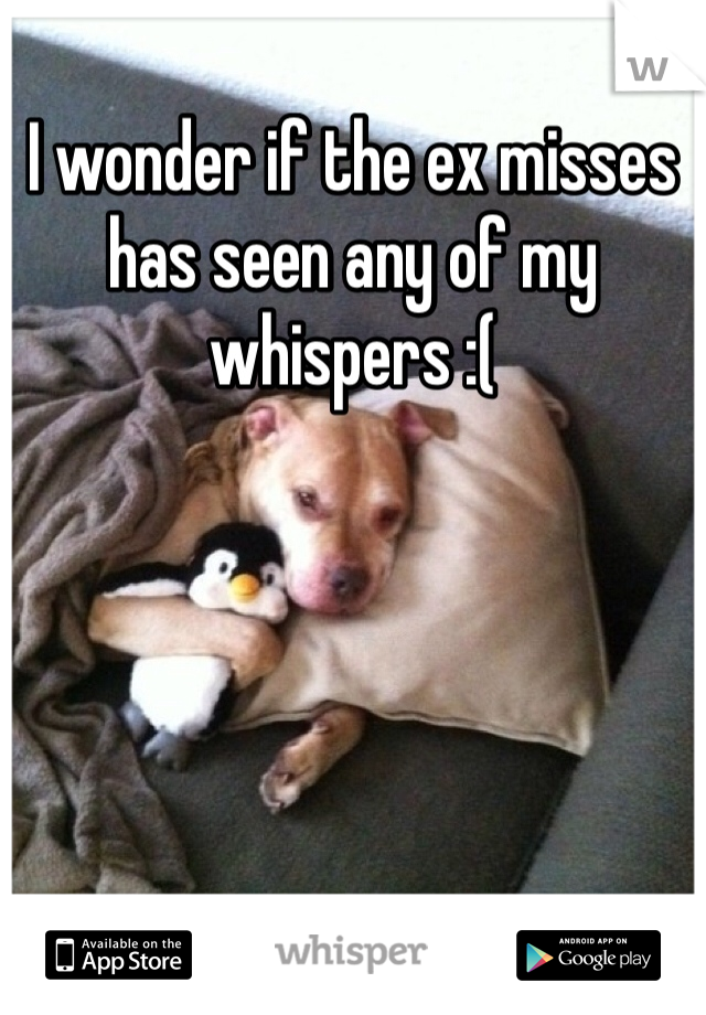 I wonder if the ex misses has seen any of my whispers :( 