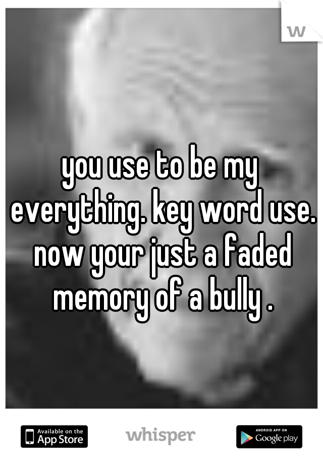 you use to be my everything. key word use. now your just a faded memory of a bully .