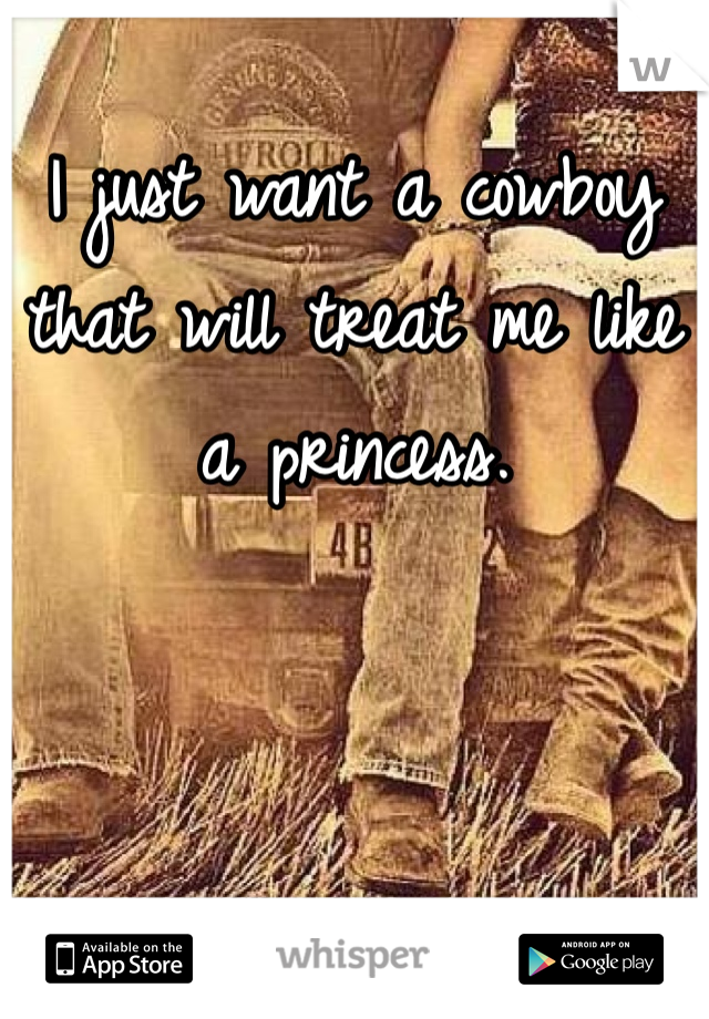 I just want a cowboy that will treat me like a princess. 