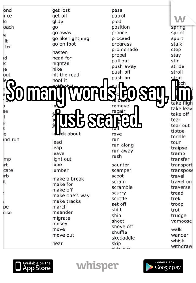 So many words to say, I'm just scared.