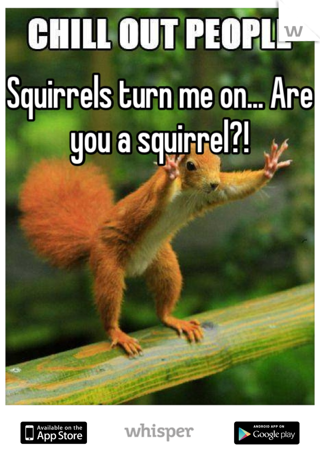 Squirrels turn me on... Are you a squirrel?!