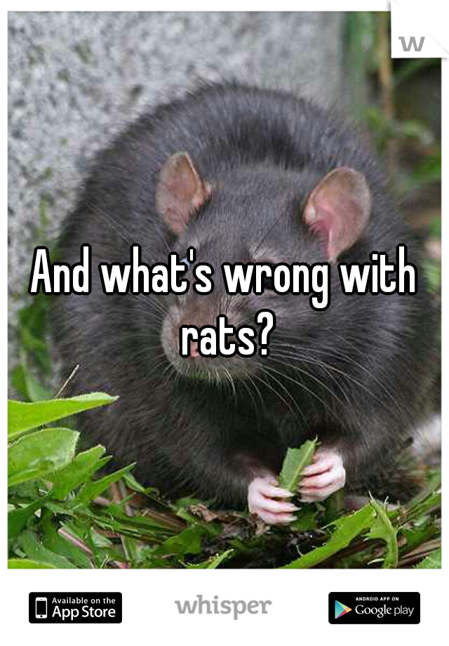 And what's wrong with rats?