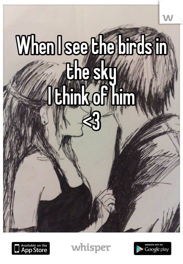 When I see the birds in the sky
I think of him
<3