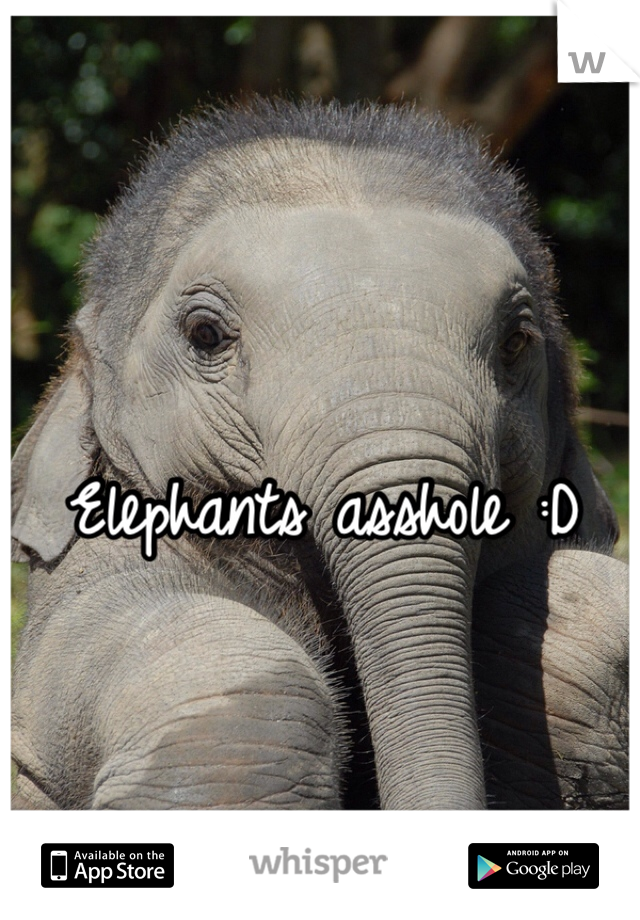 Elephants asshole :D