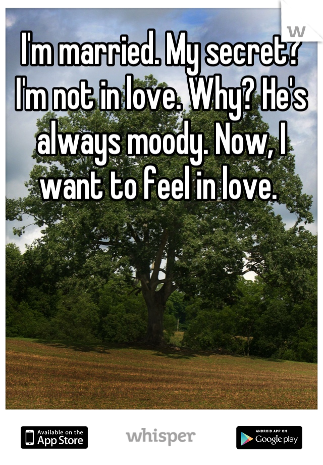 I'm married. My secret? I'm not in love. Why? He's always moody. Now, I want to feel in love. 