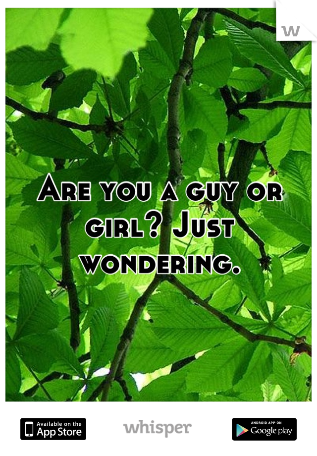 Are you a guy or girl? Just wondering.