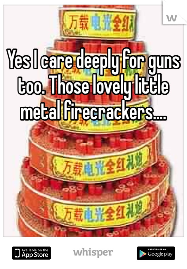 Yes I care deeply for guns too. Those lovely little metal firecrackers.... 