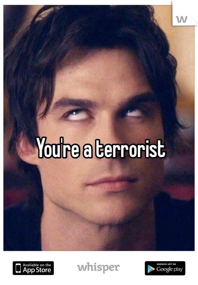 You're a terrorist 