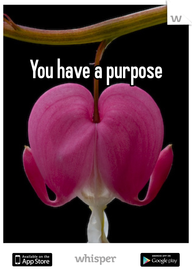 You have a purpose 