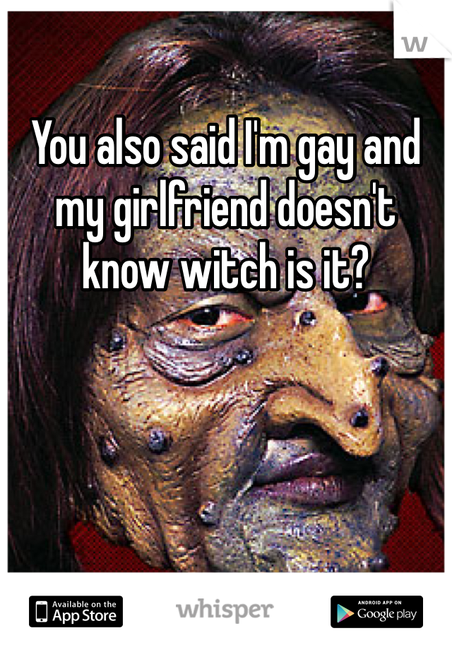 You also said I'm gay and my girlfriend doesn't know witch is it?