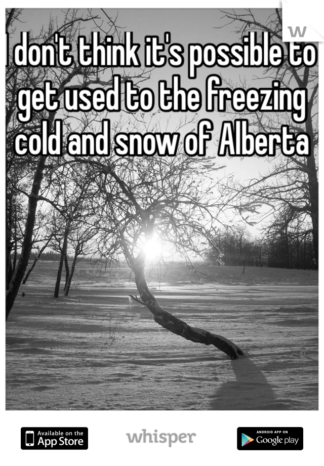 I don't think it's possible to get used to the freezing cold and snow of Alberta